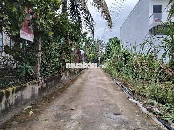 Bán cắt lỗ đất nền full thổ Phong Thuận, Tân Mỹ Chánh cách QL50 200m