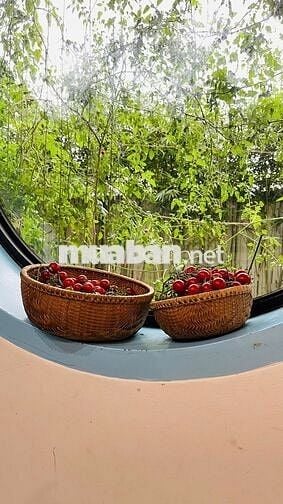 Cho thuê biệt thự tại Nam Hòa Xuân, Đà Nẵng