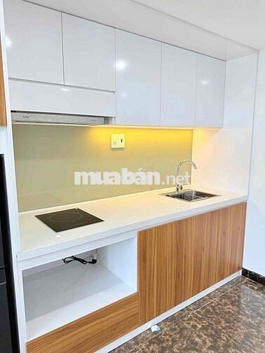 Cho thuê căn hộ mới keng ngay Đại học Duy Tân