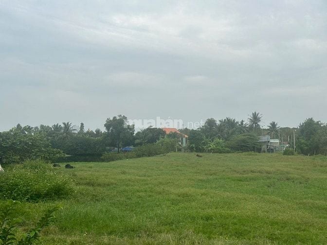 ÁN 7000m² ĐẤT TẠI TÂN NHỰT, BÌNH CHÁNH