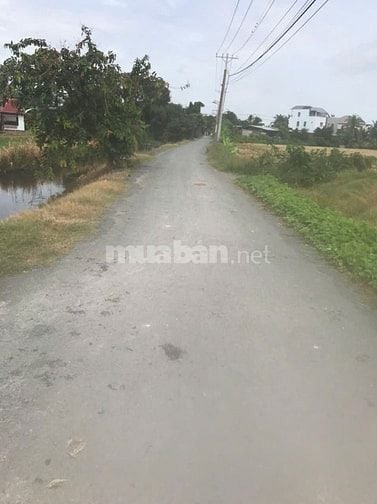 ÁN 7000m² ĐẤT TẠI TÂN NHỰT, BÌNH CHÁNH