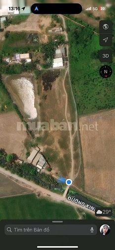 ÁN 7000m² ĐẤT TẠI TÂN NHỰT, BÌNH CHÁNH