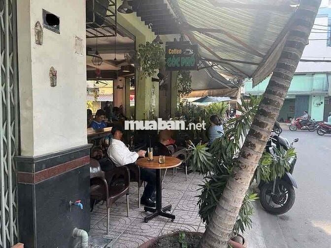 🔰MBKD Góc 2MT Phan Sào Nam - 8x15m Có Vỉa Hè - Đối Diện Trường THCS