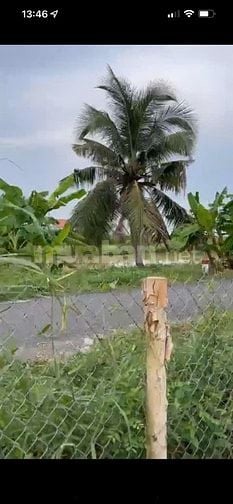 Bán đất Ấp Ninh Quới, xã Long Bình, H. Gò công Tây, Tiền Giang 5x30m