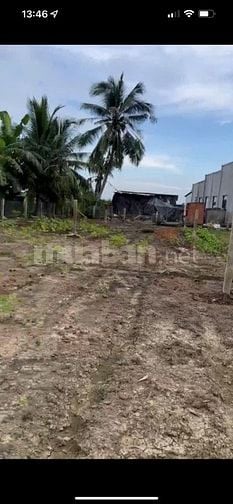 Bán đất Ấp Ninh Quới, xã Long Bình, H. Gò công Tây, Tiền Giang 5x30m