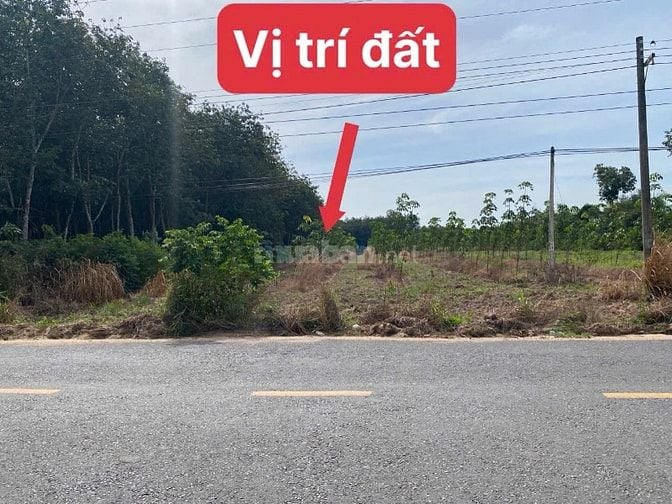 10m mặt tiền tỉnh lộ 749B gần Hồ Dầu Tiếng - Khu DL sinh thái của Sun.