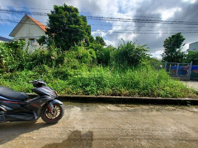 🛎️ BÁN ĐẤT FULL THỔ CƯ 93M2 - HẺM 6M – NHỈNH 3T