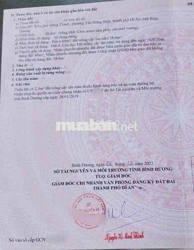 Đất gần ngã ba cây điệp, P Tân Đông Hiệp, TP Dĩ An.