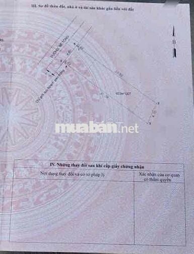 Đất gần ngã ba cây điệp, P Tân Đông Hiệp, TP Dĩ An.