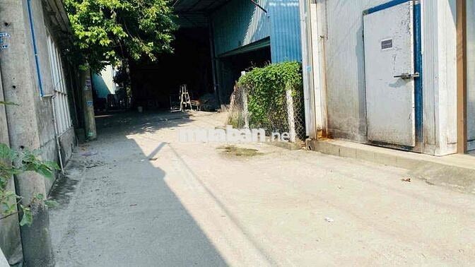 Đất gần ngã ba cây điệp, P Tân Đông Hiệp, TP Dĩ An.