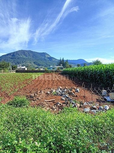 Đất thổ cư Liên Khương, Lâm đồng 