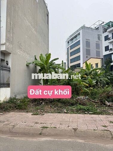 CẦN BÁN ĐẤT CỰ KHỐI LONG BIÊN HÀ NỘI.