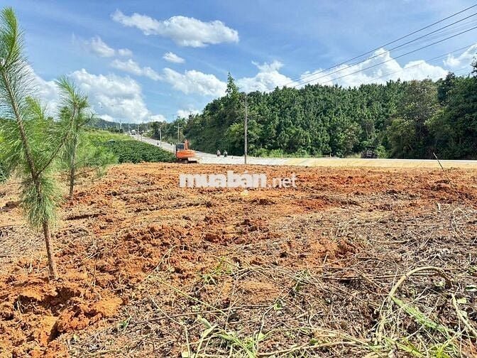 BÁN LÔ ĐẤT ĐẸP – XÃ TÀ NĂNG, HUYỆN ĐỨC TRỌNG, LÂM ĐỒNG