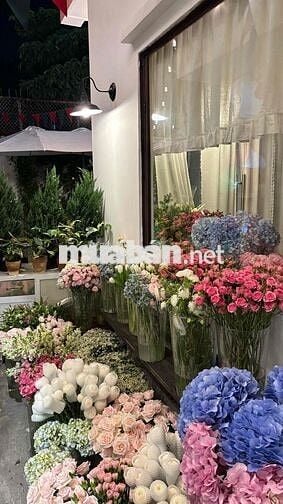 Do vợ mình sắp sinh nên mình ko có tg qlý nên nhượng lại