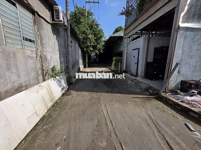 Đất 99m kdc gần ngã tư Chiêu Liêu, phường Tân Đông Hiệp, TP Dĩ An