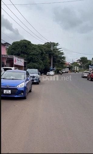 Cho thuê mặt bằng diện tích 5000 m2, mặt tiền rộng 60m, vuông vắn,