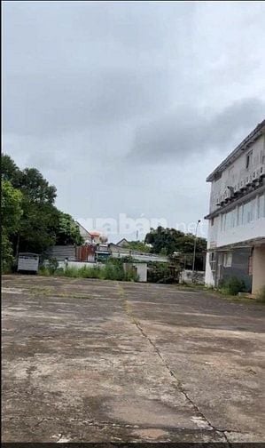 Cho thuê mặt bằng diện tích 5000 m2, mặt tiền rộng 60m, vuông vắn,