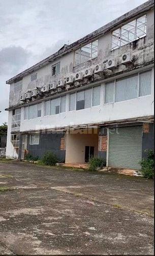 Cho thuê mặt bằng diện tích 5000 m2, mặt tiền rộng 60m, vuông vắn,