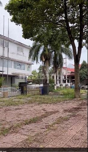 Cho thuê mặt bằng diện tích 5000 m2, mặt tiền rộng 60m, vuông vắn,