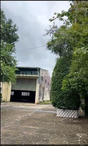 Cho thuê mặt bằng diện tích 5000 m2, mặt tiền rộng 60m, vuông vắn,