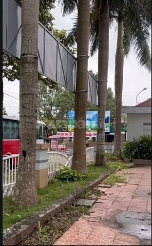 Cho thuê mặt bằng diện tích 5000 m2, mặt tiền rộng 60m, vuông vắn,