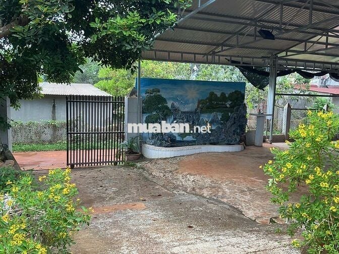 Nhà ở nông thôn + 1789,8m2 DA QH trung tâm xã mới ( đã có thông báo)