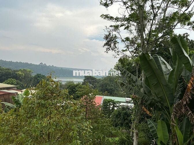 Nhà ở nông thôn + 1789,8m2 DA QH trung tâm xã mới ( đã có thông báo)