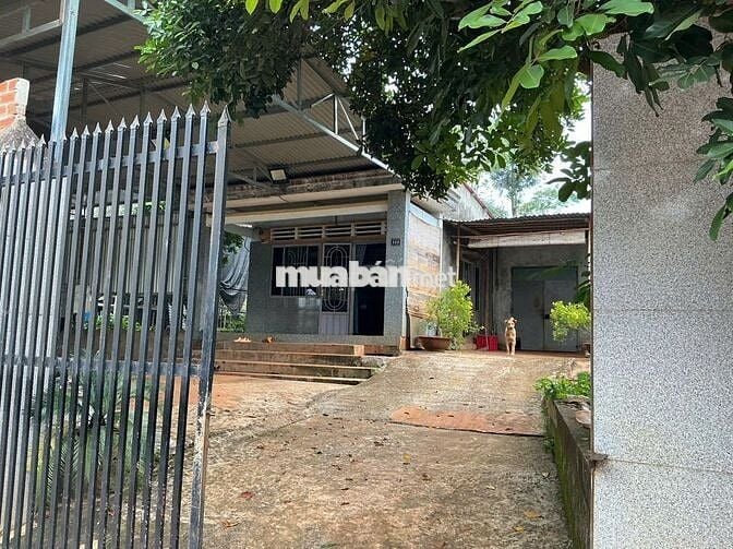 Nhà ở nông thôn + 1789,8m2 DA QH trung tâm xã mới ( đã có thông báo)