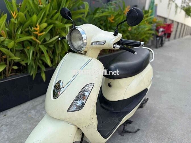 SYM Elizabeth màu Kem