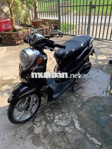 Mio classico zin bstp