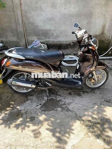 Mio classico zin bstp