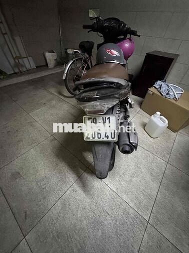 Suzuki Thể thao màu Vàng đồng