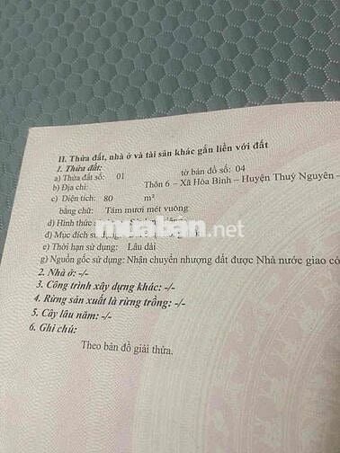 Bán đất trung tâm Phường Hoà Bình