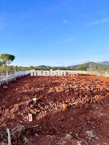 Cần bán gấp lô đất sát homestay Ovi farm giá 980 triệu