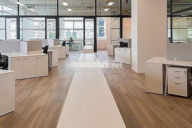 Tòa nhà MT Cách Mạng Tháng 8, Quận 3. Dt  6.5m x 26m