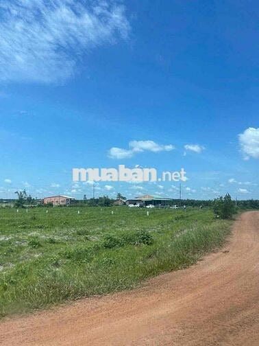 Sản Phẩm Đẹp Gần Khu Du Lịch Núi Bà