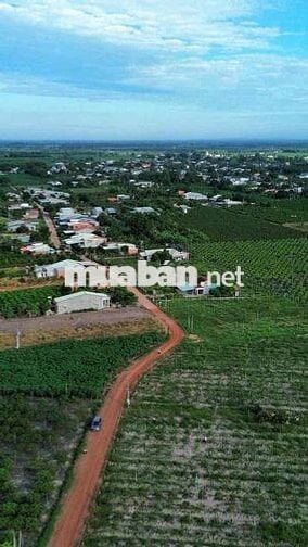 Sản Phẩm Đẹp Gần Khu Du Lịch Núi Bà