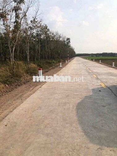 9 mẫu rưỡi hòa thanh Châu Thành, mặt tiền 590 mét ,