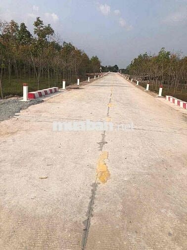 9 mẫu rưỡi hòa thanh Châu Thành, mặt tiền 590 mét ,