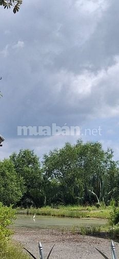 860m2 + nhà c4 cũ, 2MT đường , gần Vinhom, Phước Vĩnh Tây, Cần Giuộc 