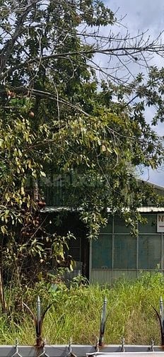 860m2 + nhà c4 cũ, 2MT đường , gần Vinhom, Phước Vĩnh Tây, Cần Giuộc 