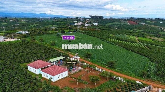 BÁN LÔ ĐẤT 1000m²  – TÂN HÀ, LÂM HÀ
Giá chỉ 750 triệu