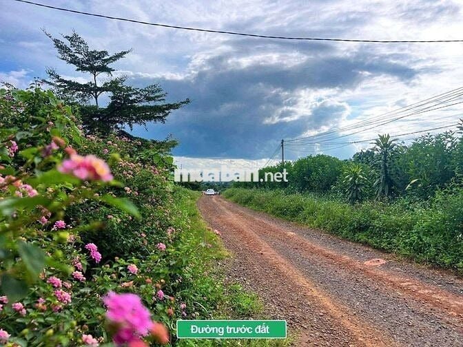 BÁN LÔ ĐẤT 1000m²  – TÂN HÀ, LÂM HÀ
Giá chỉ 750 triệu