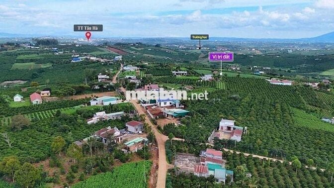BÁN LÔ ĐẤT 1000m²  – TÂN HÀ, LÂM HÀ
Giá chỉ 750 triệu
