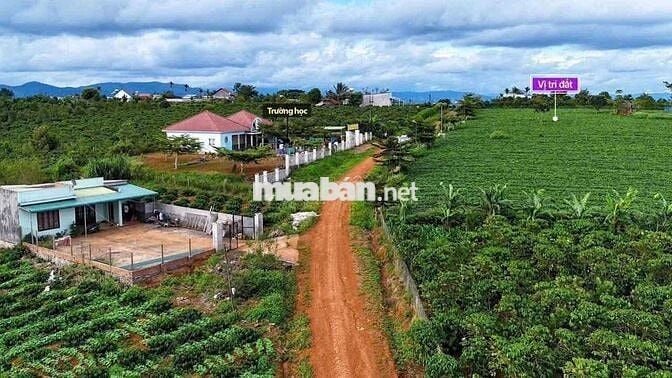 BÁN LÔ ĐẤT 1000m²  – TÂN HÀ, LÂM HÀ
Giá chỉ 750 triệu