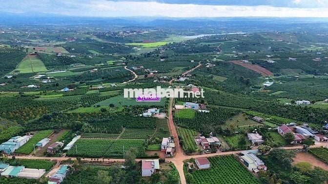 BÁN LÔ ĐẤT 1000m²  – TÂN HÀ, LÂM HÀ
Giá chỉ 750 triệu