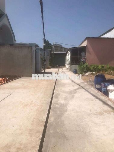 ĐẤT BÙI CÔNG TRỪNG, DT:100m2 THỔ CƯ, SỔ HỒNG RIÊNG, CHỈ 3.15 TY