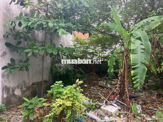 Chính chủ bán đất thổ cư gần chợ Hốc Môn