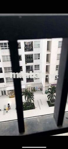 cho thuê căn hộ 2pn chung cư 4s Linh đông