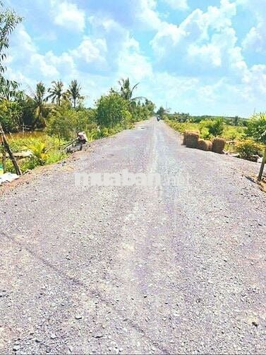 500m2 đất vườn view kênh cực đẹp giá chỉ 299 triệu